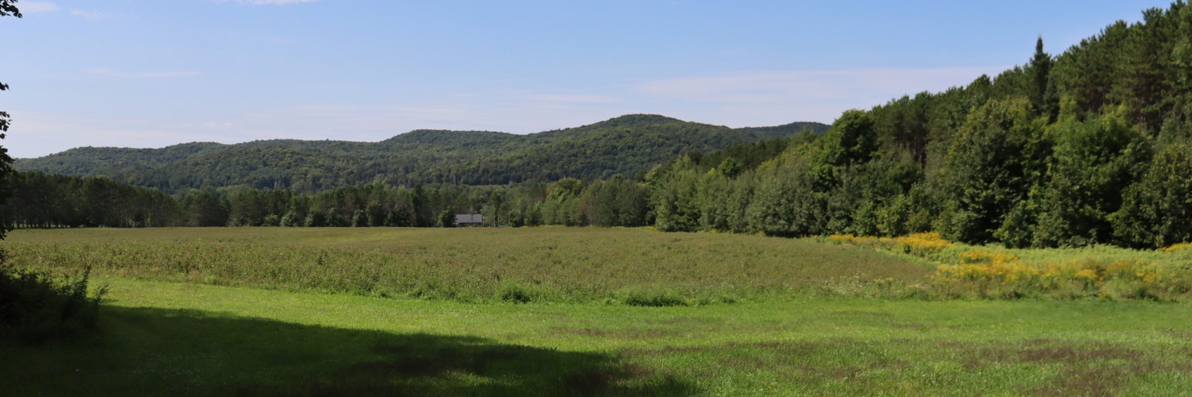 Un champ ouvert et des collines boisées sous un ciel dégagé, en Outaouais.